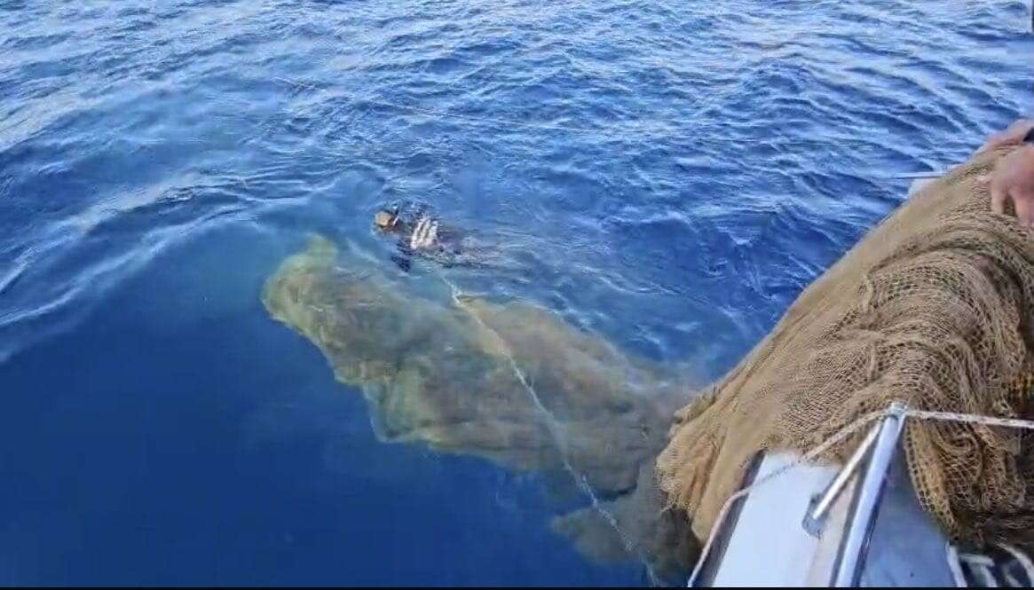 Muğla Tarım Müdürlüğü Ekiplerinden Hayalet Ağ Temizliği 4